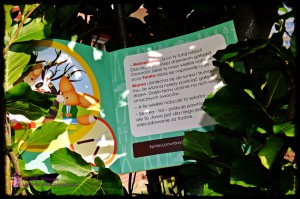 Przygody Fenka "Wiosna w ogrodzie" czytanie dla dzieciom bajek